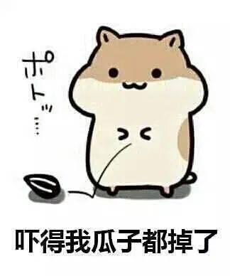 吃瓜 同义词,那些年我们一起“吃瓜”的日子